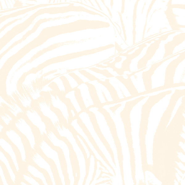 BEACH HOUSE "Teen Dream" LPx2 (w/ DVD)