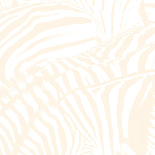 BEACH HOUSE "Teen Dream" LPx2 (w/ DVD)