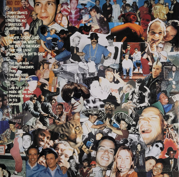 BEASTIE BOYS "Check Your Head" LPx2