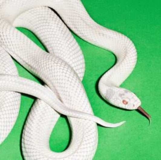 DEFTONES "Private Music" LP (Clear)