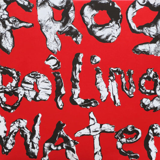 DIIV "Frog In Boiling Water" LP (Orange Vinyl)