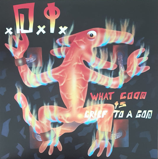 D.I. "What Good is Grief to a God" LP (Orange Vinyl)