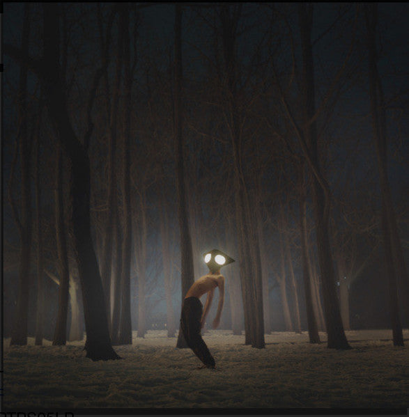 GEESE "Projector" LP