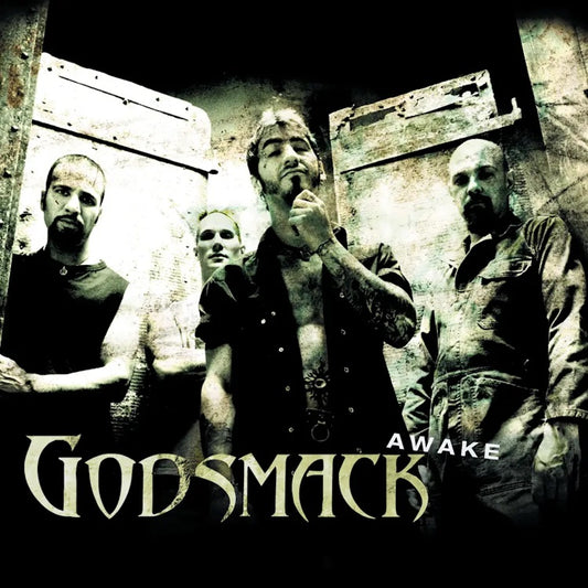 GODSMACK "Awake" LPx2