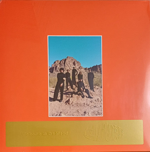 LEISURE "Welcome to the Mood" LP (Orange)