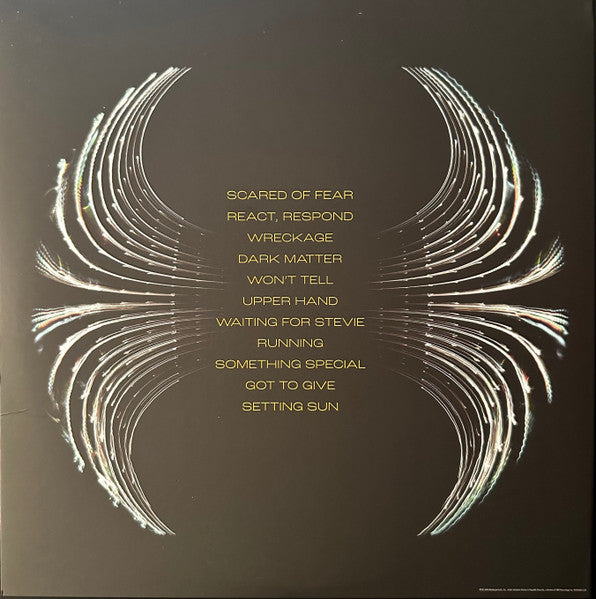 PEARL JAM "Dark Matter" LP