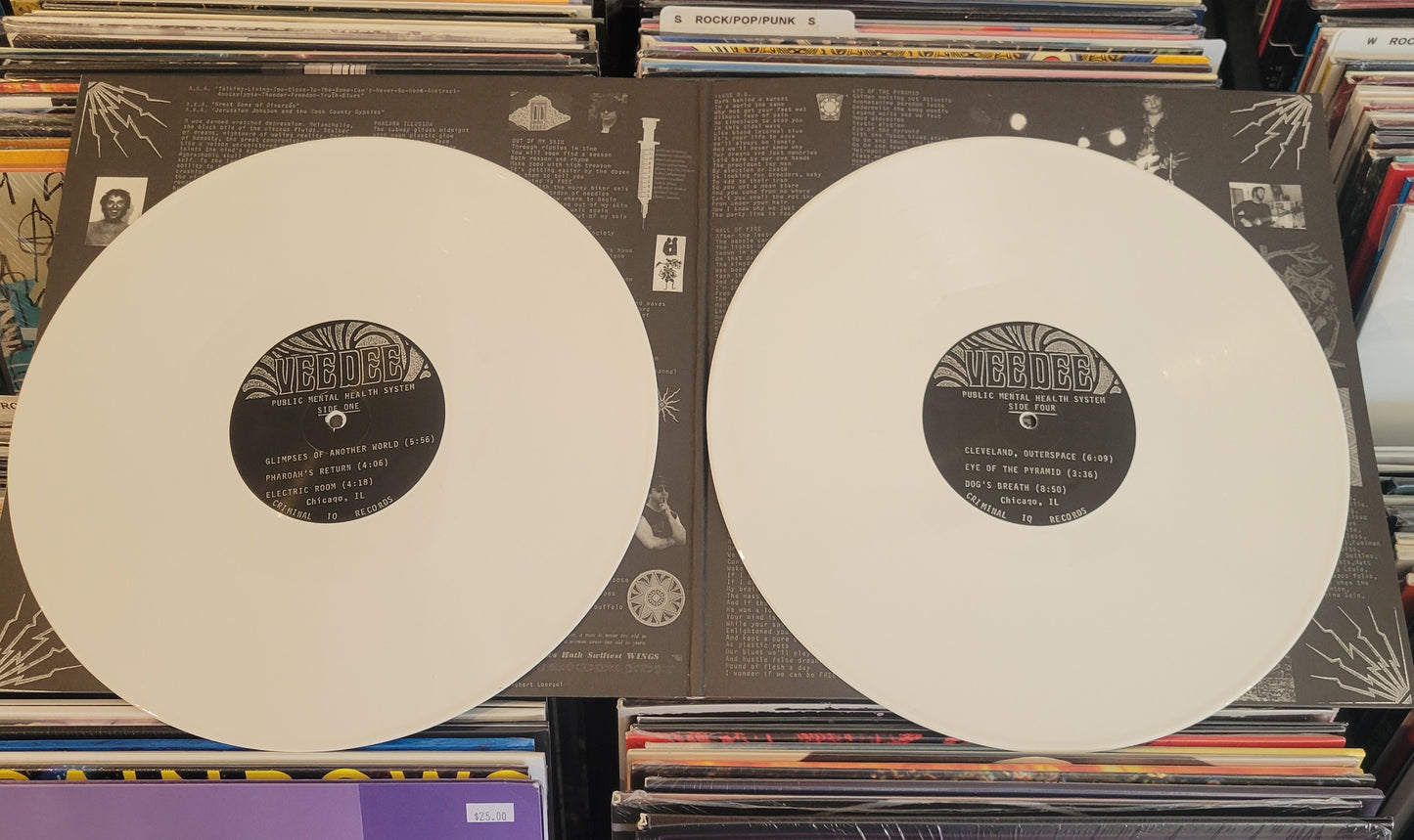 VDD DEE "Public Mental Health System" LPx2 (2009) Psych Punk VG+/VG+