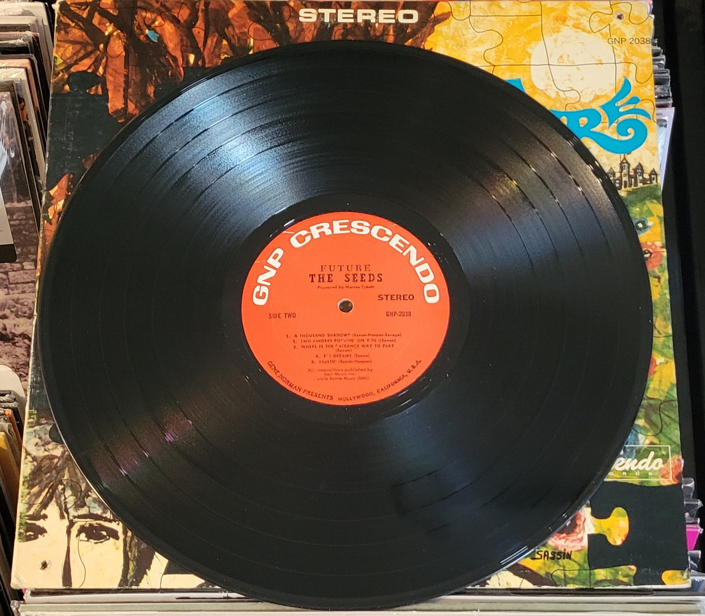SEEDS, THE "Future" LP (1967) VG/VG