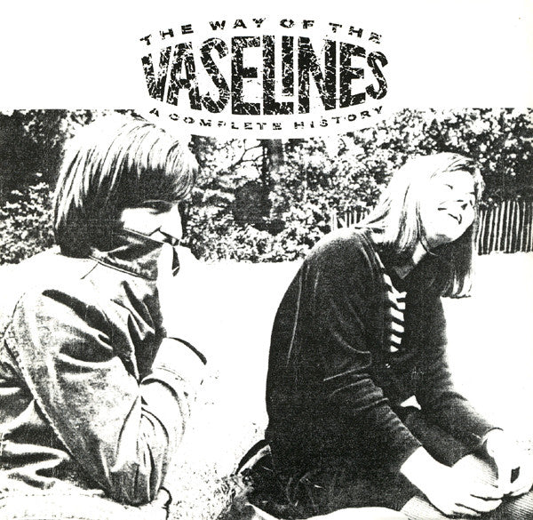 VASELINES, THE "The Way of The Vaselines - A Complete History" LPx2