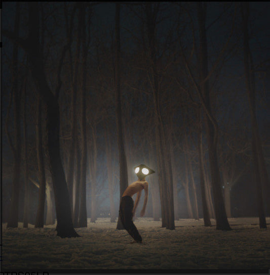 GEESE "Projector" LP