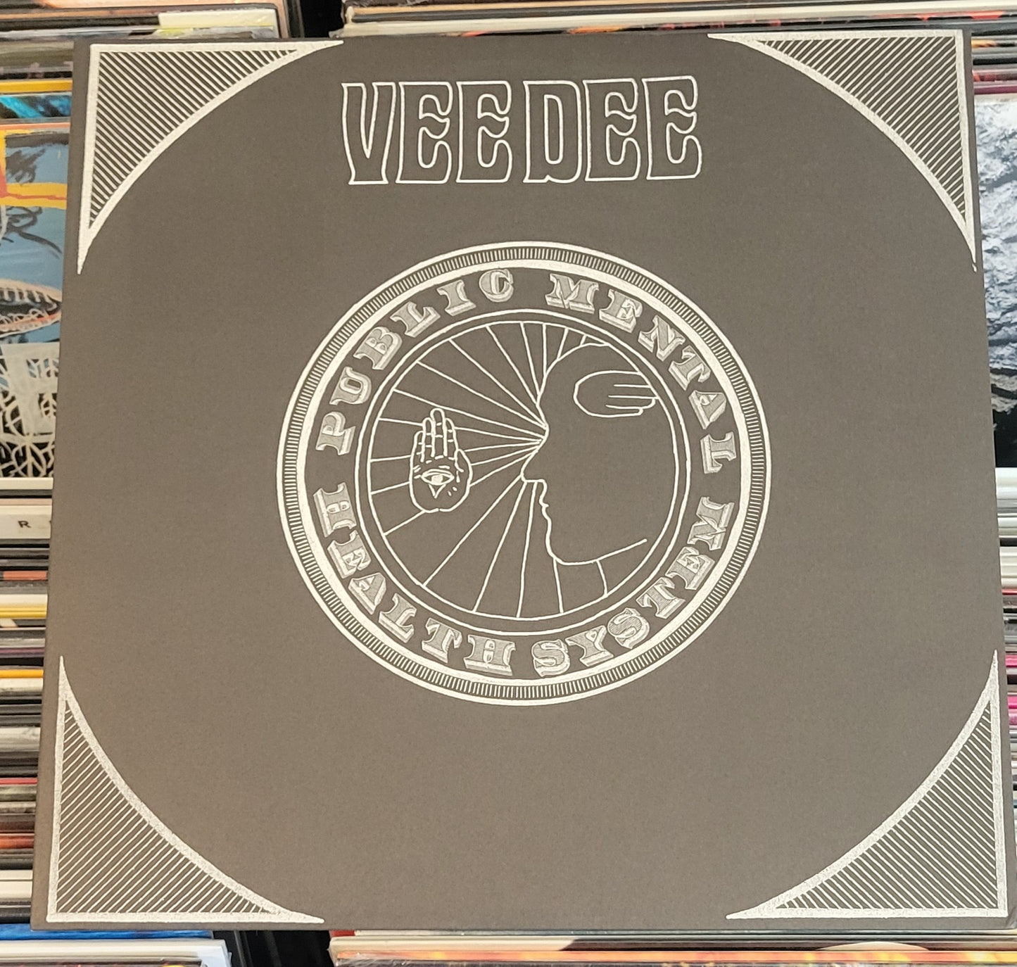 VDD DEE "Public Mental Health System" LPx2 (2009) Psych Punk VG+/VG+
