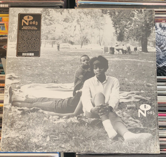 ECCENTRIC SOUL: SITTING IN THE PARK (Various) LP (2016) Soul/Funk VG+/VG+