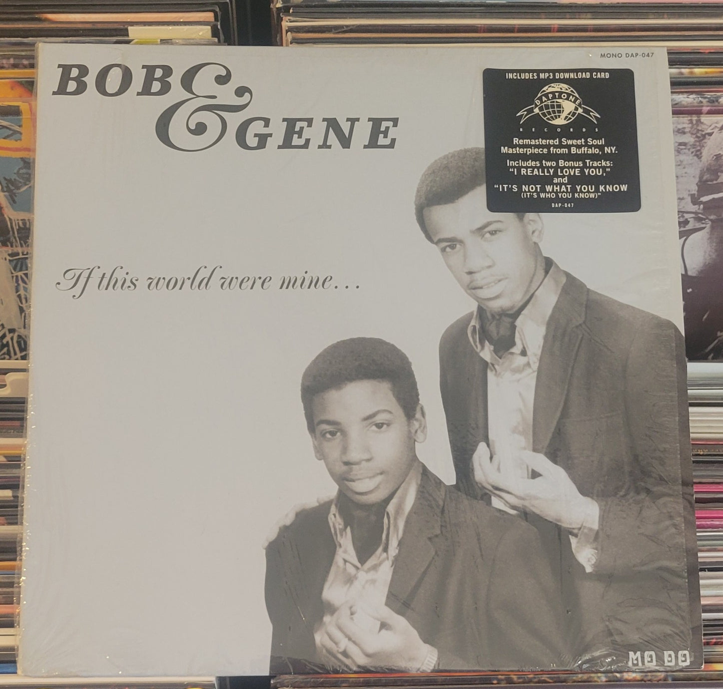 BOB & GENE "If This World Were Mine" LP (2017) Soul Funk VG+/VG+