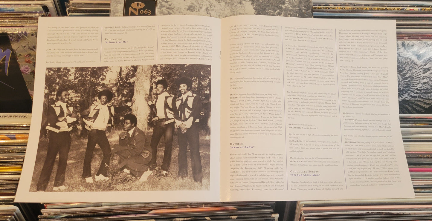 ECCENTRIC SOUL: SITTING IN THE PARK (Various) LP (2016) Soul/Funk VG+/VG+