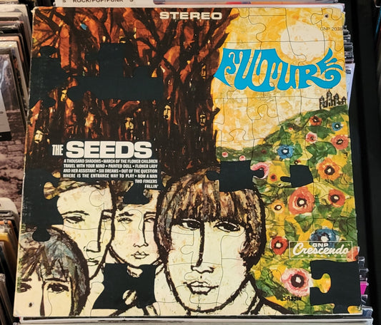 SEEDS, THE "Future" LP (1967) VG/VG