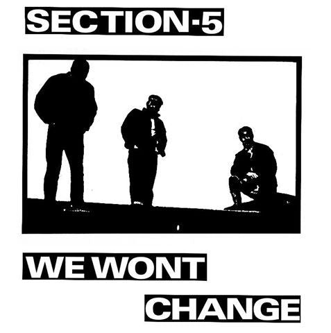 SECTION 5 "We Won't Change" LP (White Vinyl)