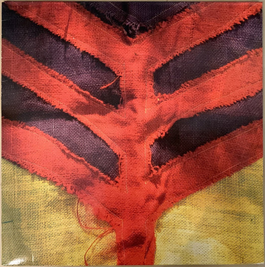 YEAH YEAH YEAHS "Show Your Bones" LP